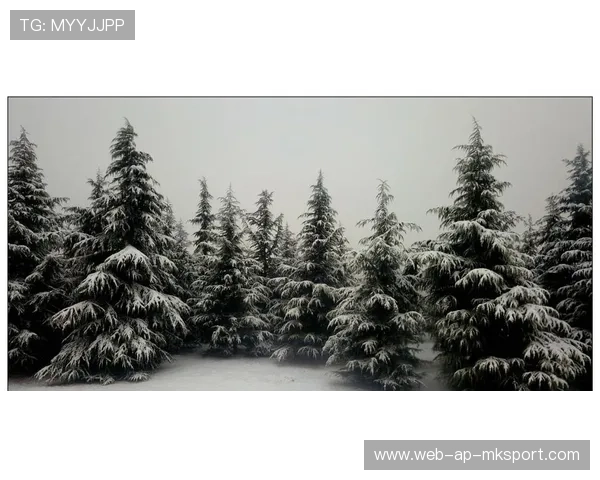 女篮用坚持书写不朽传奇，女篮用坚持书写不朽传奇的句子